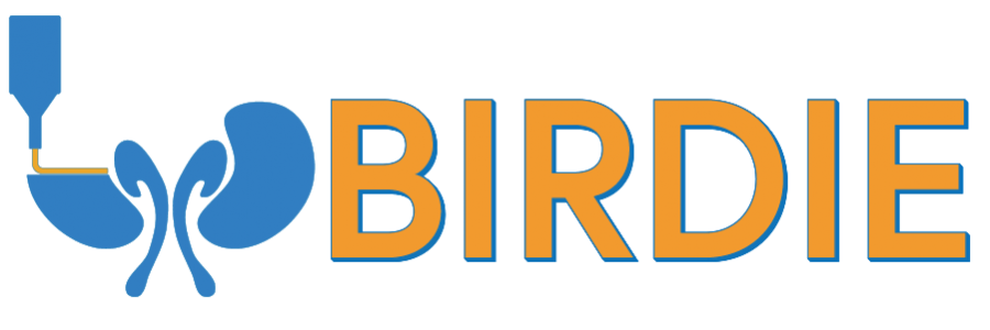 BIRDIE Project Website